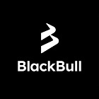 BlackBull Markets Recenze 2024