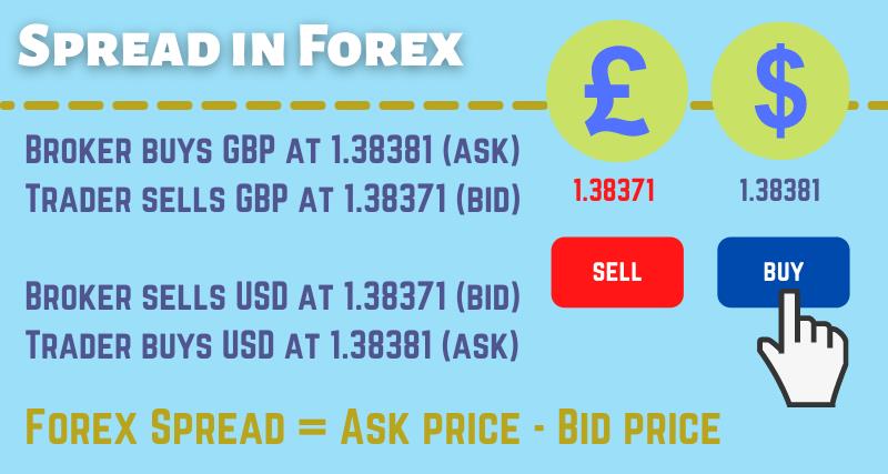 What is the Spread in Forex