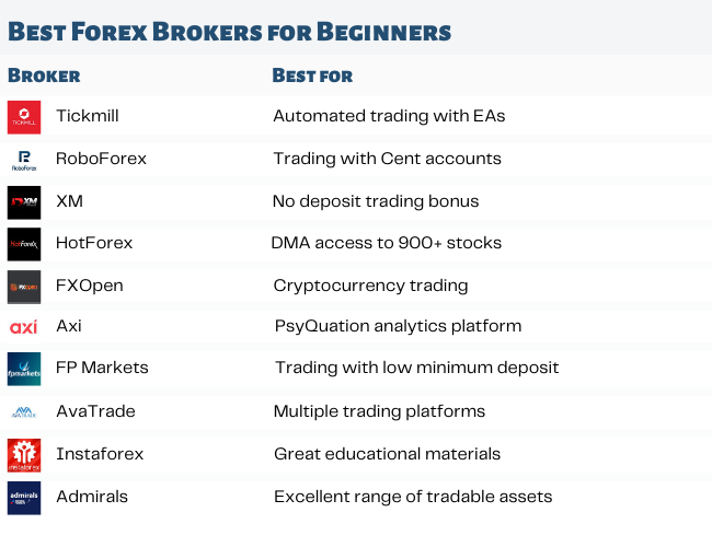 Best Forex Brokers for Beginners